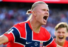 Man City superstar called a ‘Wild Animal’ after World Cup moment goes viral Erling Haaland - Man City superstar called a 'Wild Animal' after World Cup moment goes viral